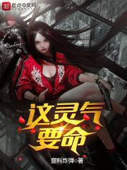 这灵气要命txt
