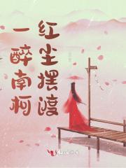 南柯醉梦一场