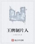 王牌制作人百科