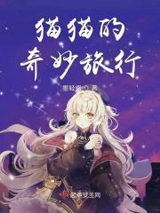 猫猫的奇妙冒险