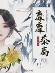 靡丽的意思