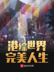 港踪世界完美人生