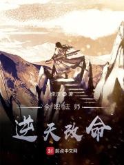 全职法师如何
