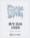 重生美国1978大财团