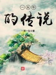 一头牛寓意