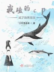 我磕的cp分了