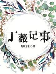 丁薇记事剧透