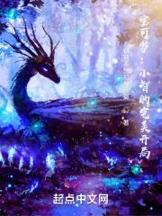 宝可梦游戏小智