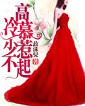 高冷慕少偏执宠