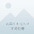 穿越西游之从零开始动漫