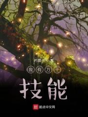 我有万千技能点叶枫
