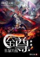 至尊狂神等级介绍