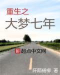 重生之大梦七年txt精校版