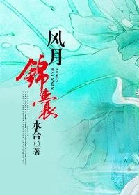 风月锦囊电视剧免费观看全集