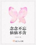 依依不舍念念不忘还有什么