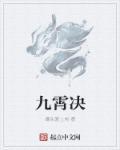 九霄天帝决