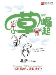 小草丅v