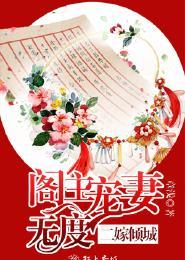 二嫁王妃全文阅读
