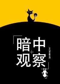 暗中观察