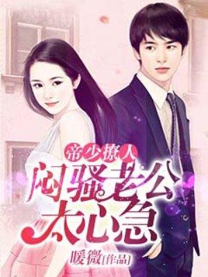 闷骚老公宠翻天 莫浅笑