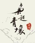 枭起青壤 电视剧