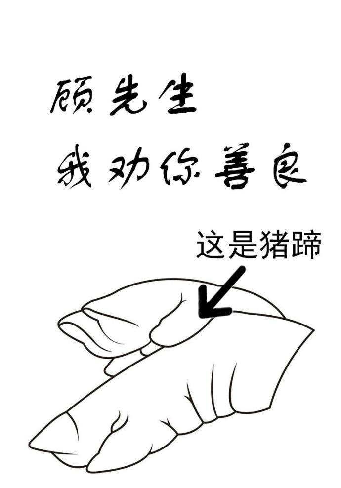 顾先生我劝你善良男主