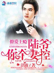 宠婚撩人陆先生的