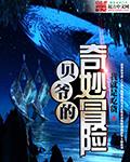 贝爷大冒险
