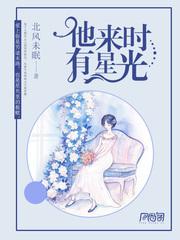 他来时有星光终篇