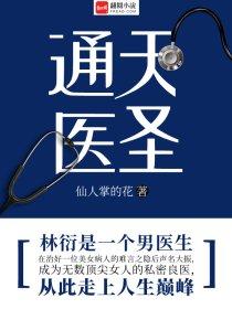 通天医圣在官途