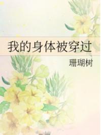 我的身体被穿过盘