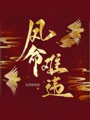 凤命小视频
