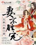 妻不如妾