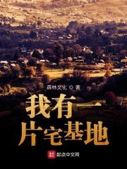 有一处宅基地还能继承父母的宅基地吗