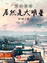 我的姐姐是大明星 笔趣阁