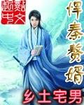 悍秦赘婿 乡土宅男