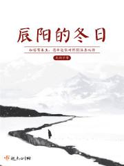 描写冬天晨阳句子