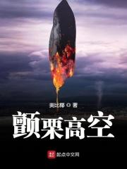 颤栗高空443章