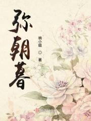 朝暮与你弥萝免费