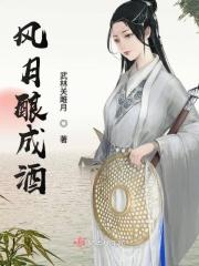 风月佐酒歌词